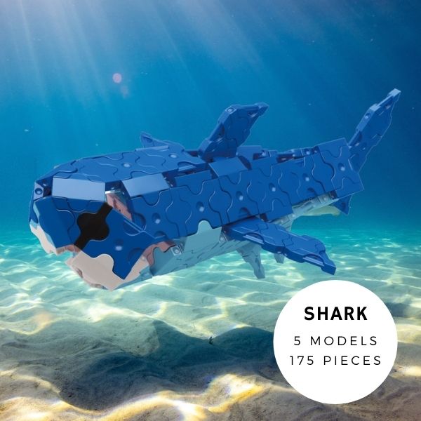 Marine World | Build Fun Ocean Animal Toys
